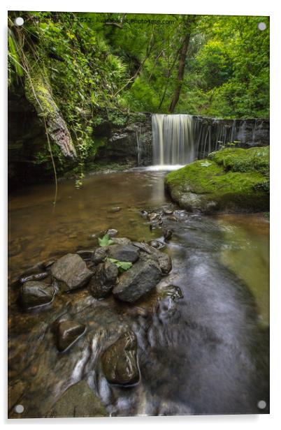 Hayburn Wyke Waterfall Acrylic by Ron Ella