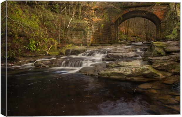 The Enchanting Falling Foss Canvas Print by Ron Ella