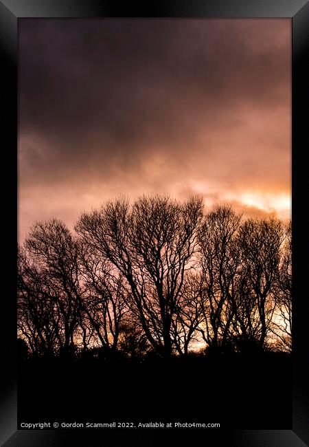 Trees silhouetted by an intense sunset in Cornwall Framed Print by Gordon Scammell