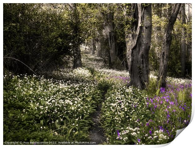 garlic flowers and bluebells in the woods Print by Ann Biddlecombe