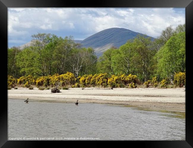 Inchmoan Island, Loch Lomond Framed Print by yvonne & paul carroll