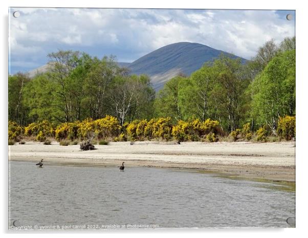 Inchmoan Island, Loch Lomond Acrylic by yvonne & paul carroll