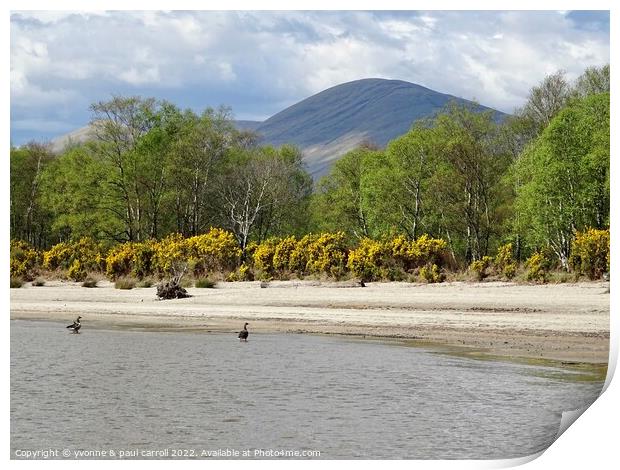 Inchmoan Island, Loch Lomond Print by yvonne & paul carroll