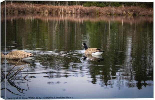 Outdoor waterside Canvas Print by Craig Weltz