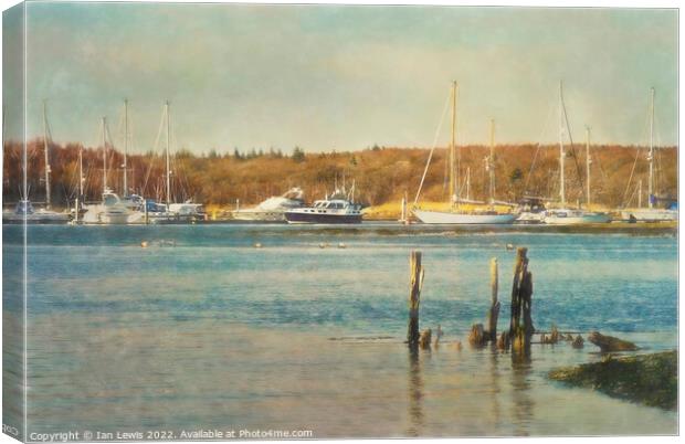 Moorings on the Beaulieu River Canvas Print by Ian Lewis