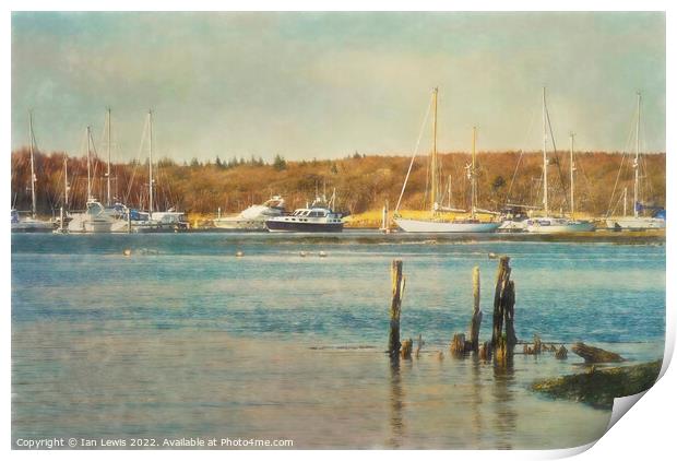 Moorings on the Beaulieu River Print by Ian Lewis