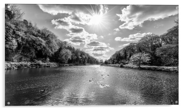 Creswell Crags in monochrome Acrylic by Mark Godden