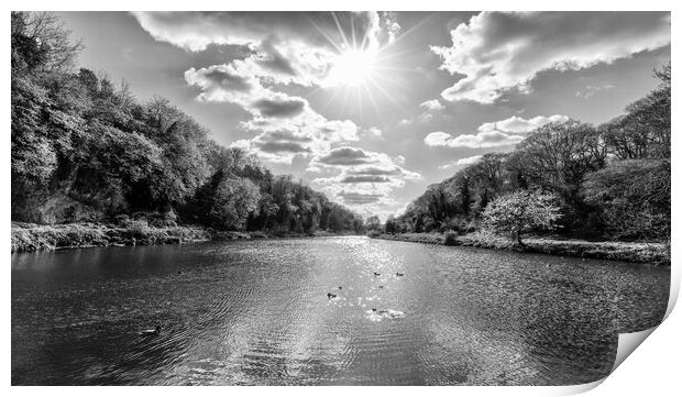 Creswell Crags in monochrome Print by Mark Godden