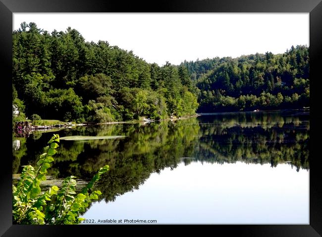 Reflections in La Isobel, Gatineau, Quebec Framed Print by Stephanie Moore