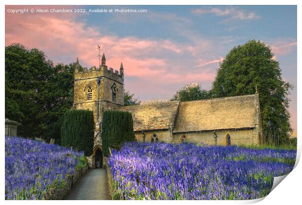 English Bluebell Church Print by Alison Chambers