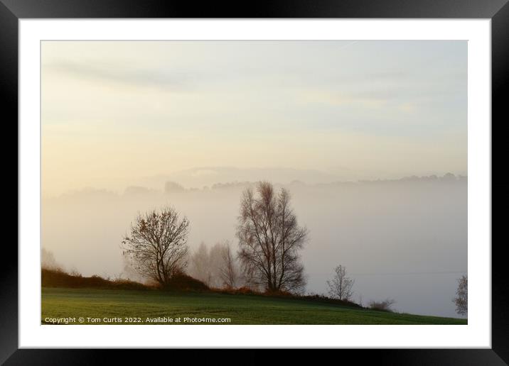 Foggy Morning Framed Mounted Print by Tom Curtis