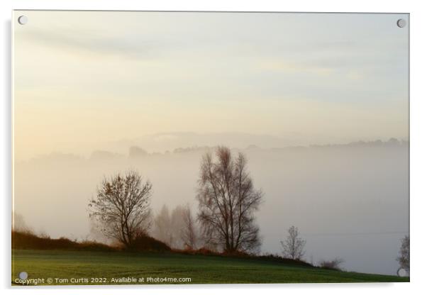 Foggy Morning Acrylic by Tom Curtis