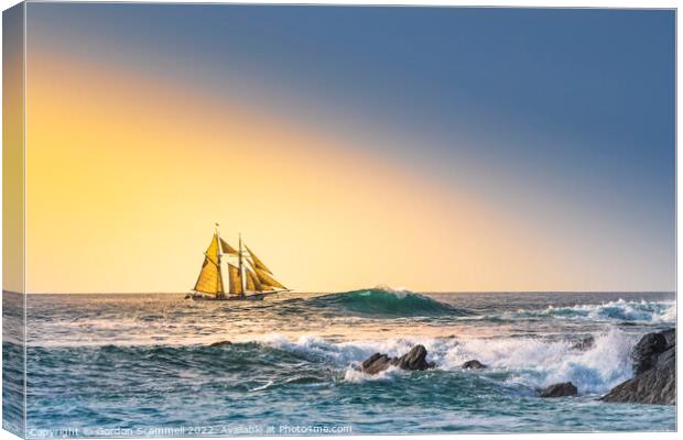 Golden evening light over the Schooner Anny sailin Canvas Print by Gordon Scammell