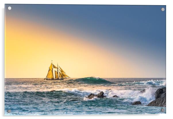 Golden evening light over the Schooner Anny sailin Acrylic by Gordon Scammell