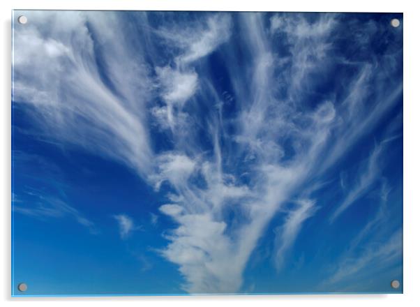 Cirrus clouds Acrylic by Rory Hailes