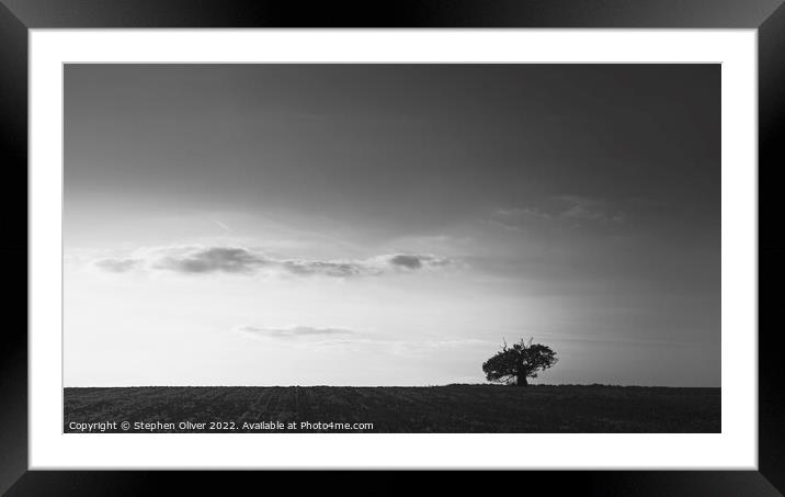 Lone Tree Framed Mounted Print by Stephen Oliver