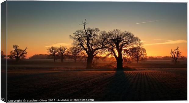 Hertfordshire Sunrise Canvas Print by Stephen Oliver