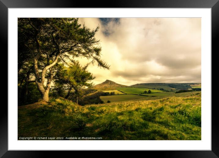 Serenity in Nature Framed Mounted Print by richard sayer