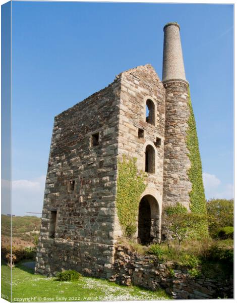 Old disused tin mine Cornwall Canvas Print by Rose Sicily