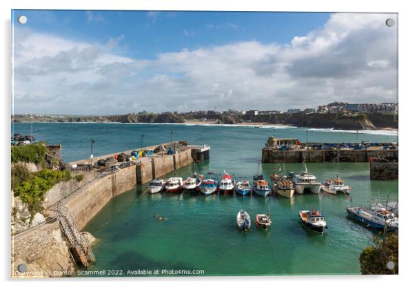 The quaint picturesque Newquay harbour in Cornwall Acrylic by Gordon Scammell