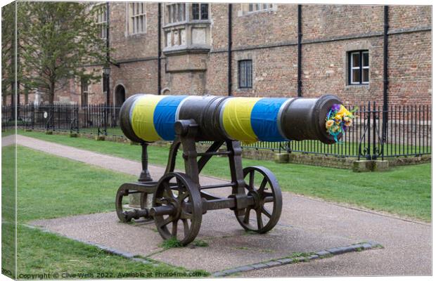 The cannon Ukrainan colours. Canvas Print by Clive Wells