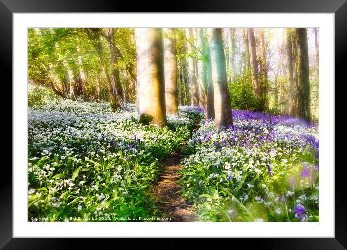 Magical woods Framed Mounted Print by Ann Biddlecombe