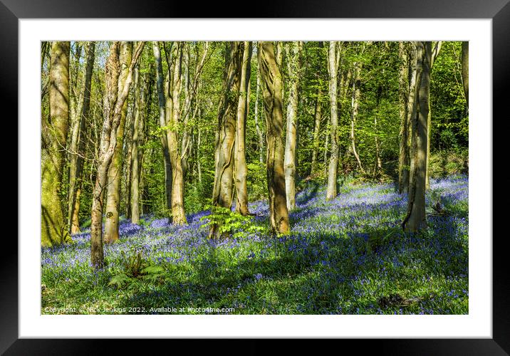 Bluebell Woods at Coed Cefn Crickhowell  Framed Mounted Print by Nick Jenkins