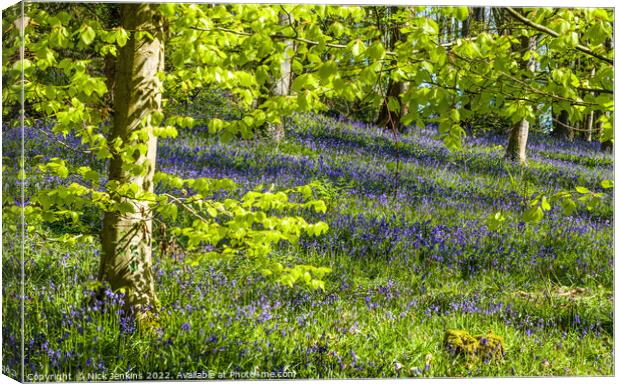 Bluebell Woods at Coed Cefn above Crickhowell  Canvas Print by Nick Jenkins