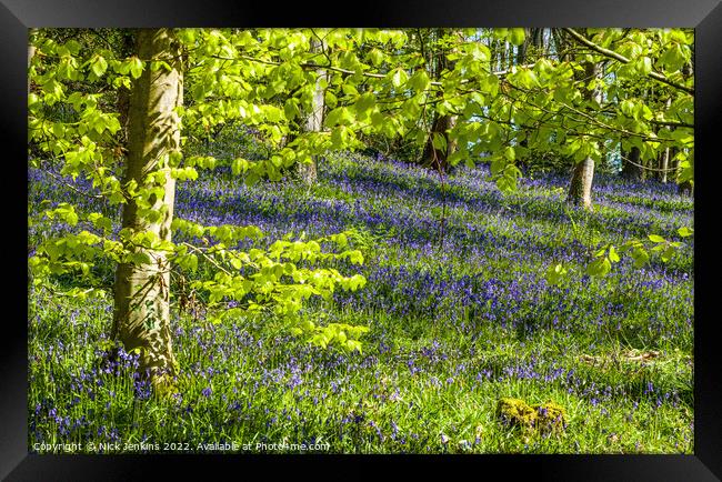 Bluebell Woods at Coed Cefn above Crickhowell  Framed Print by Nick Jenkins