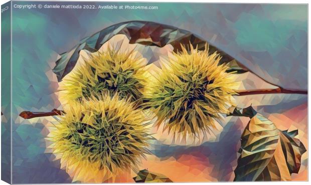 POLY ART on set of curls containing chestnuts Canvas Print by daniele mattioda