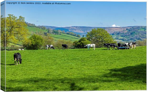 Farming Country Black Mountains in Background Canvas Print by Nick Jenkins
