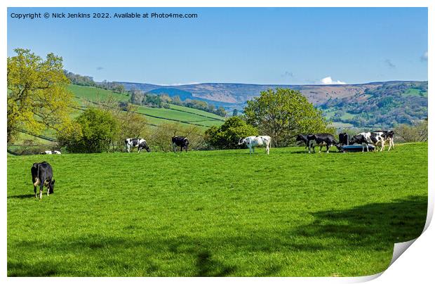 Farming Country Black Mountains in Background Print by Nick Jenkins