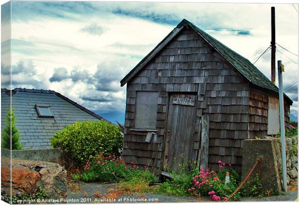 Weathered Shed Canvas Print by Andrew Poynton