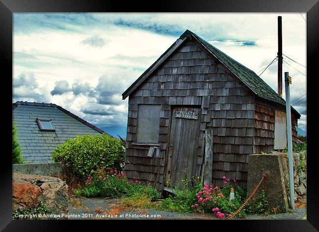 Weathered Shed Framed Print by Andrew Poynton