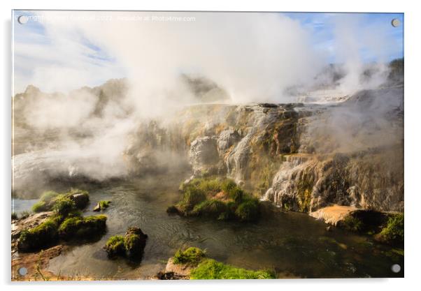 Rotorua Geothermal Pool and Geysers New Zealand Acrylic by Pearl Bucknall