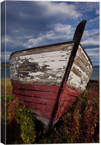 Old boatwreck Canvas Print by Thomas Schaeffer