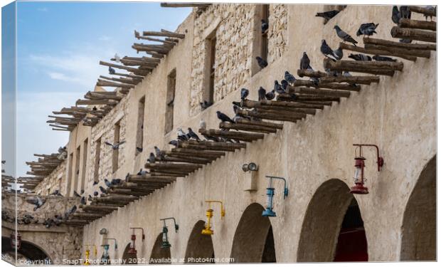 Pigeons sitting on bamboo poles on the wall of a qatari building in Souq Waqif Canvas Print by SnapT Photography