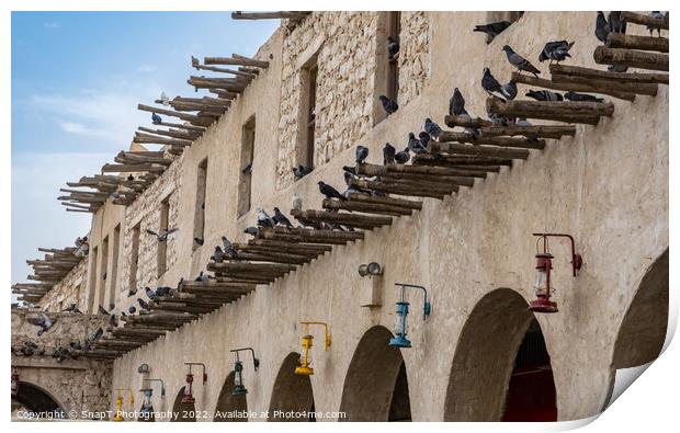 Pigeons sitting on bamboo poles on the wall of a qatari building in Souq Waqif Print by SnapT Photography