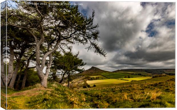 A walk to Roseberry Topping  Canvas Print by keith sayer