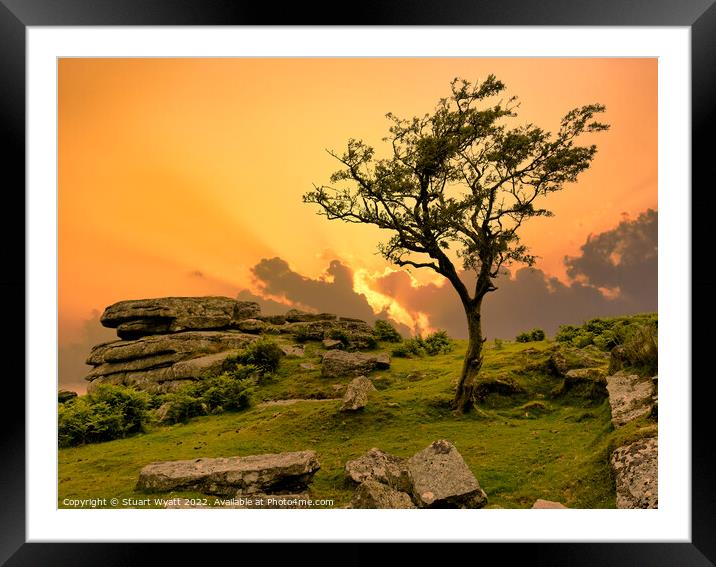 Golden hour on Dartmoor Framed Mounted Print by Stuart Wyatt