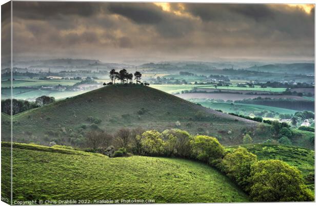 Colmers Hill at sunrise Canvas Print by Chris Drabble