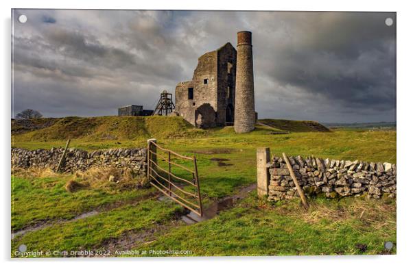 Magpie Mine Acrylic by Chris Drabble
