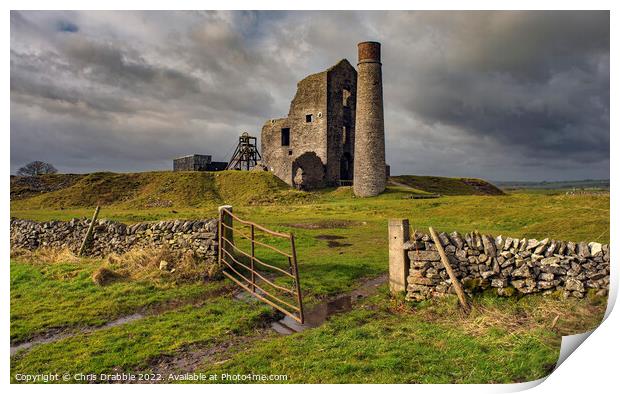 Magpie Mine Print by Chris Drabble