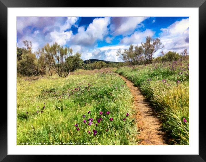 Nature's Colorful Trail Framed Mounted Print by Roger Mechan