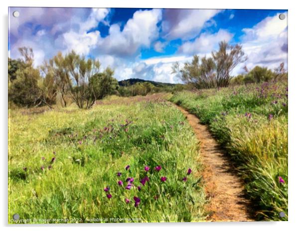 Nature's Colorful Trail Acrylic by Roger Mechan