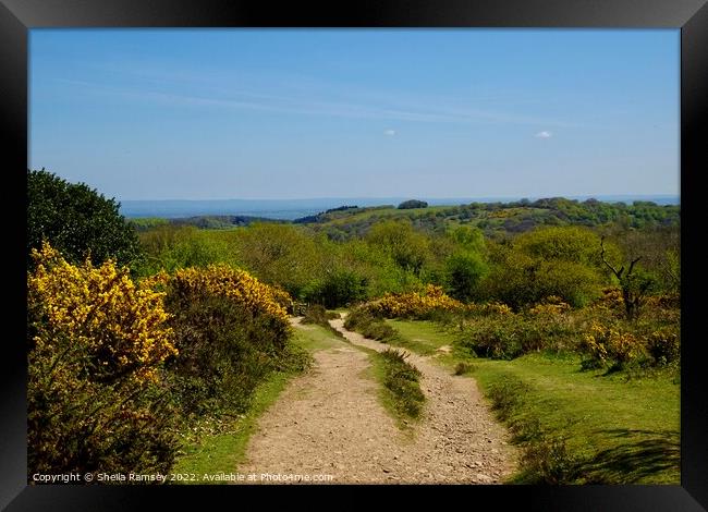 Quantock path Framed Print by Sheila Ramsey