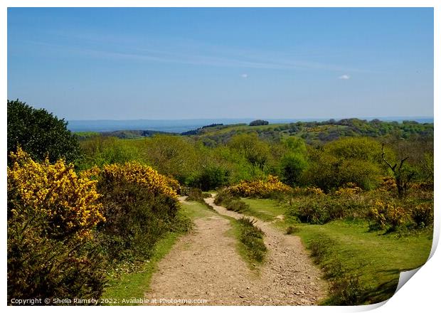 Quantock path Print by Sheila Ramsey