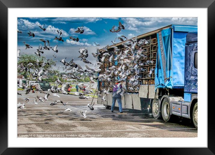 The Great Pigeon Migration Framed Mounted Print by Roger Mechan