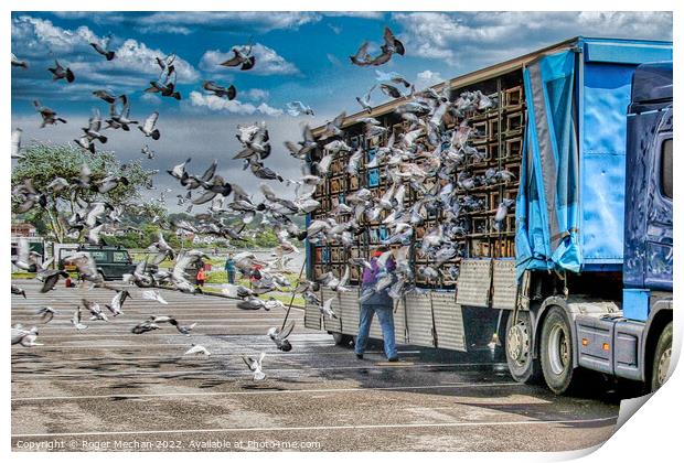 The Great Pigeon Migration Print by Roger Mechan