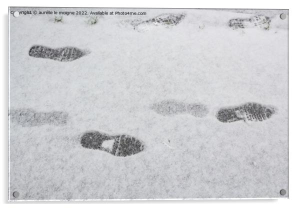 Footprints on snow Acrylic by aurélie le moigne